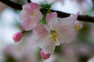 口碑大好！《战神 诸神黄昏》媒体赞誉宣传片公开